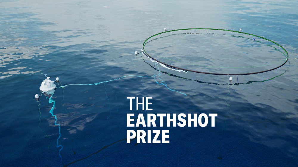 Blue Carbon has been nominated for the Earthshot Prize, Tewice